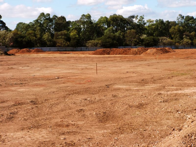 Post-Clearing Land View