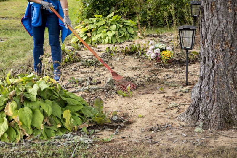 Spring Brush Clearing