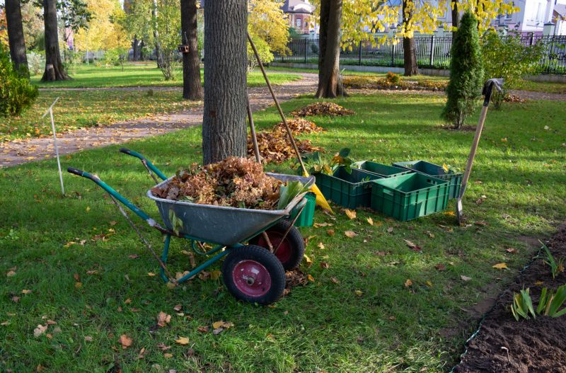 Fall Cleanup