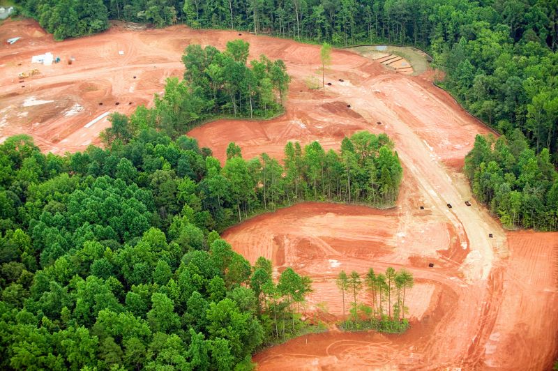 Lakefront Property Clearing in Cumming, GA