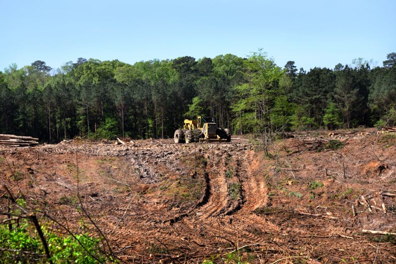 Land Clearing Crew at Work
