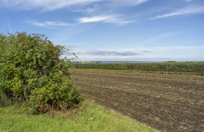 Land Clearing in Gwinnett County, GA