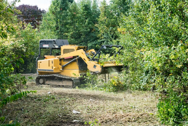 Slope Clearing in Utah County, UT