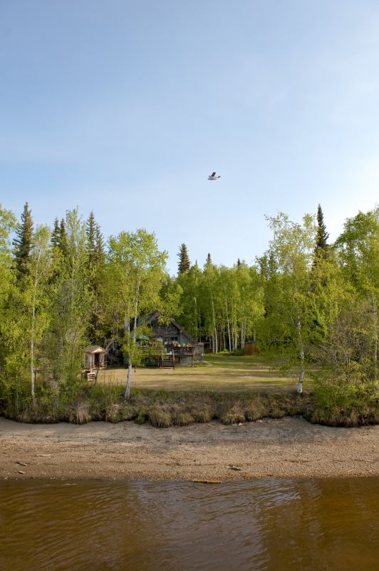 Increase Your Brush Clearing Business with an AI Driven, Targeted Website